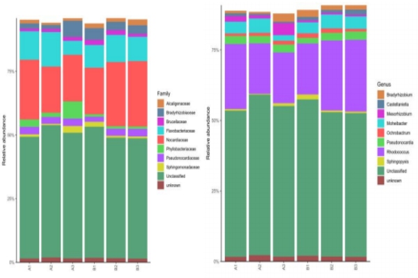 物種-功能-豐度柱狀圖 物種-功能-豐度柱狀圖