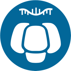 有參全長轉錄組（ONT）分析平臺